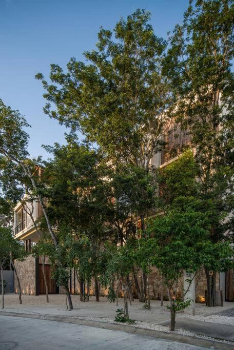 شقة Beyond Amazing 3Bd 2Br/ Balcony تولوم المظهر الخارجي الصورة